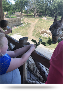 Me at the zoo - 2018